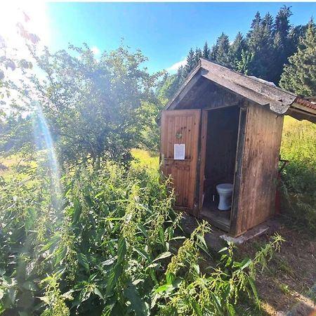 Ferienhaus Klause Neureichenau Zewnętrze zdjęcie