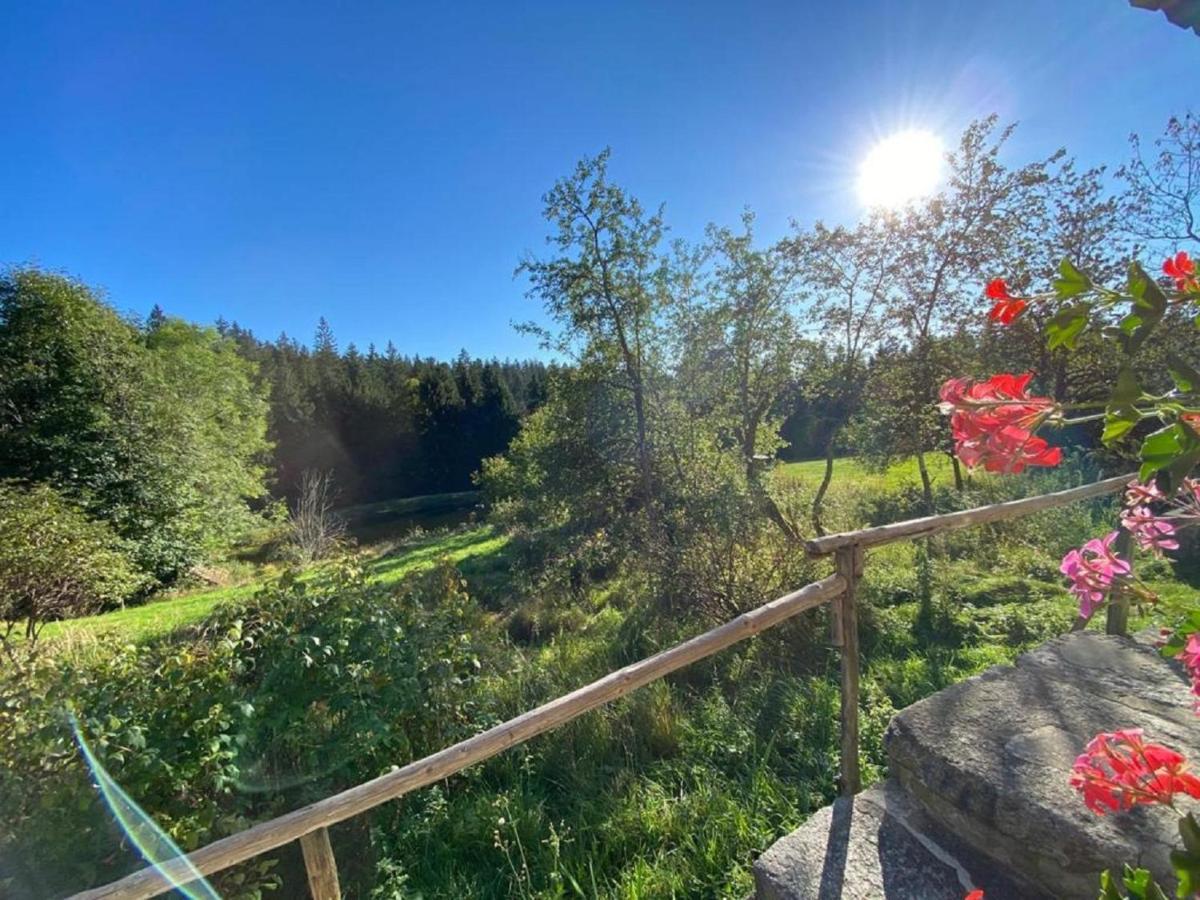 Ferienhaus Klause Neureichenau Zewnętrze zdjęcie