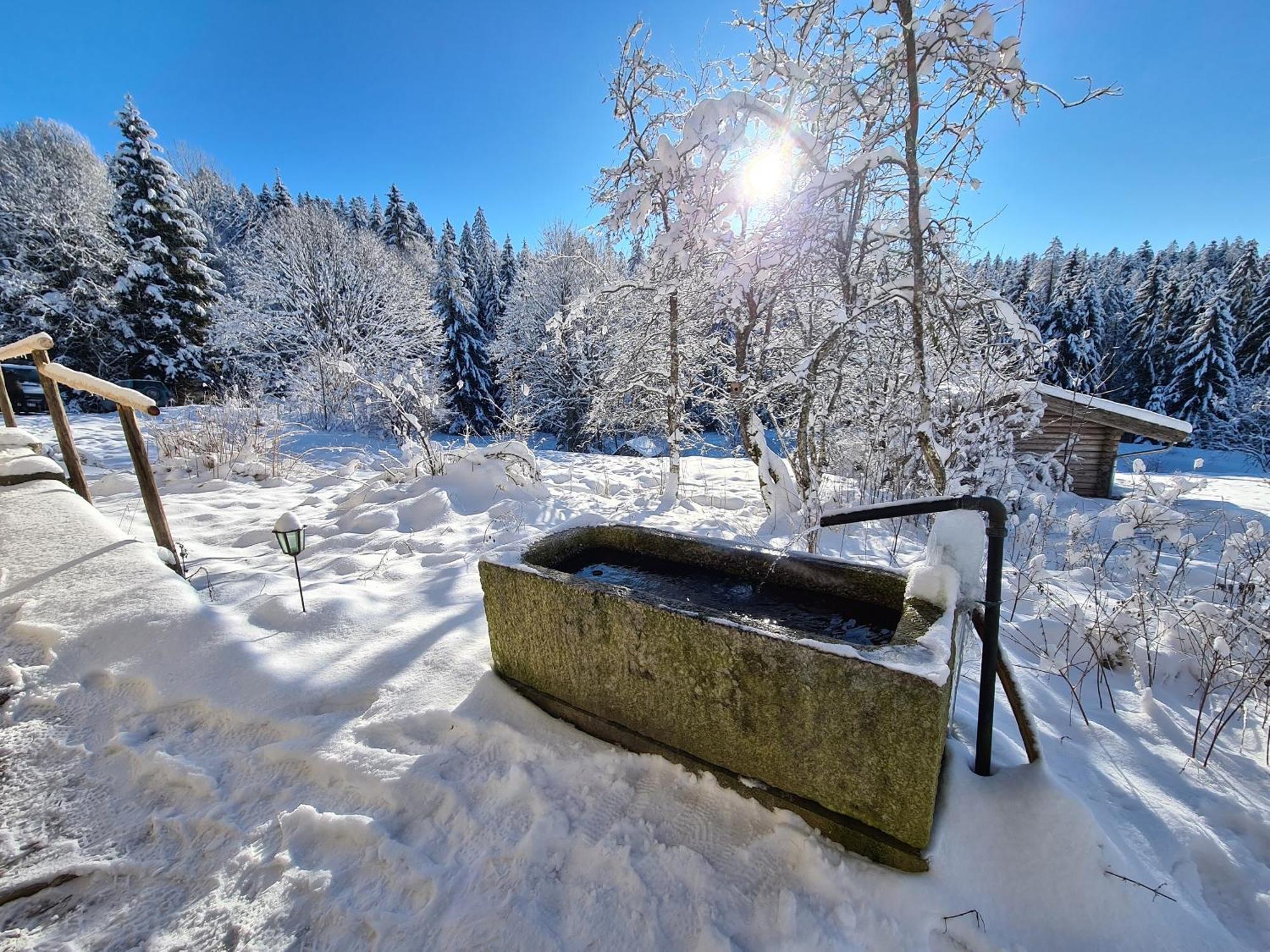 Ferienhaus Klause Neureichenau Zewnętrze zdjęcie