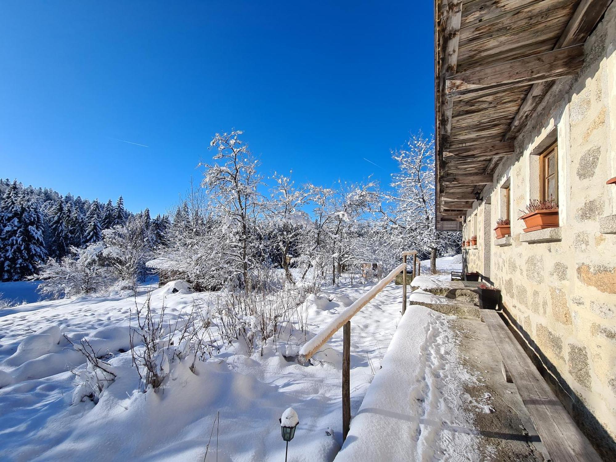 Ferienhaus Klause Neureichenau Zewnętrze zdjęcie